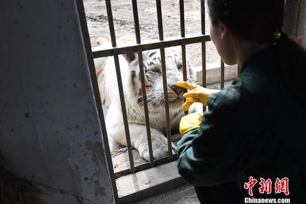 熊黛林居家环境曝光!女儿衣服随意堆,饭桌被临时当工作台_云电脑续费
