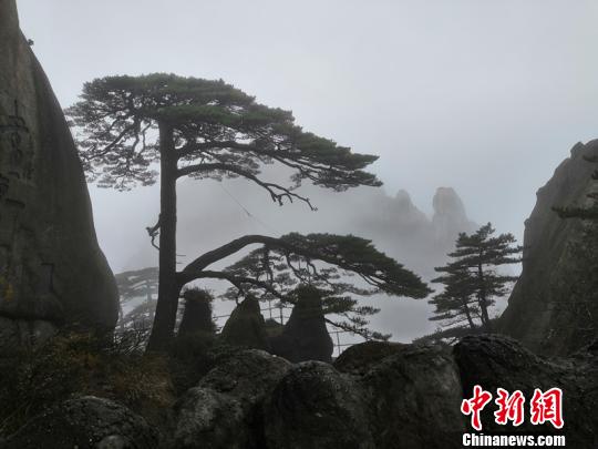 美元指数走弱 在岸人民币收报6.7366贬值16点