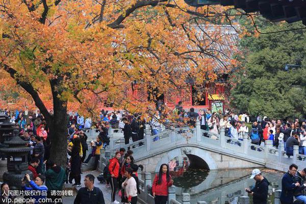 欧洲12国组建电子竞技联盟_CN2服务器NVMe