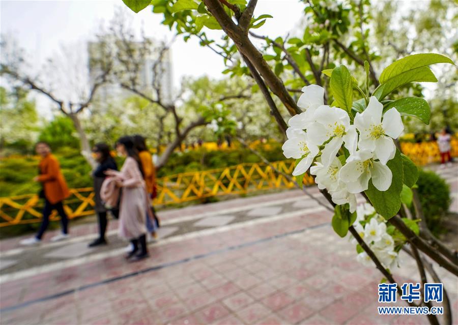 FTP服务器_挂机宝电商防关联
