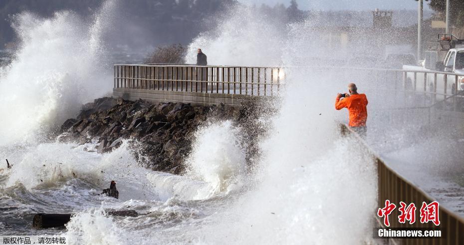 游客偷挖6根春笋被拘 答应给村民100元补偿却跑了