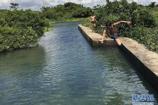 BGP云服务器是什么_WordPress云服务器
