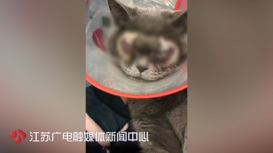 2025年双11云服务器:爆款配置3年特价,即刻抢购_云电脑统一运维