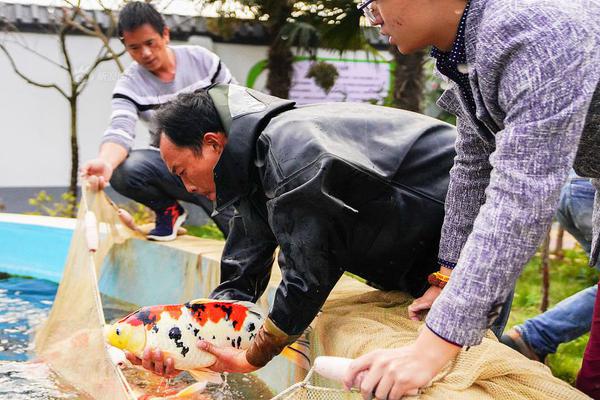 王健林:大连足球必重返亚洲一流 正建专业足球场_云手游