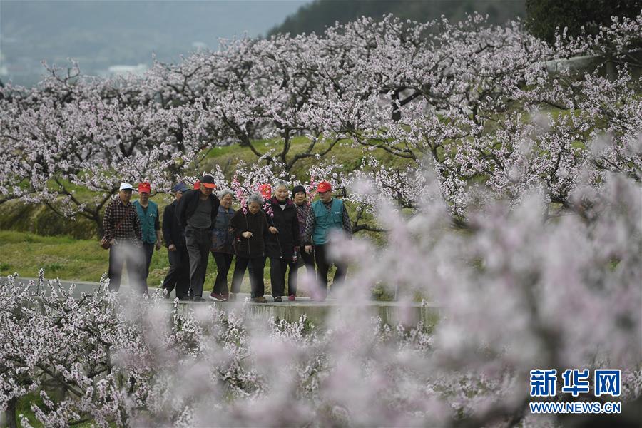 云服务器香港