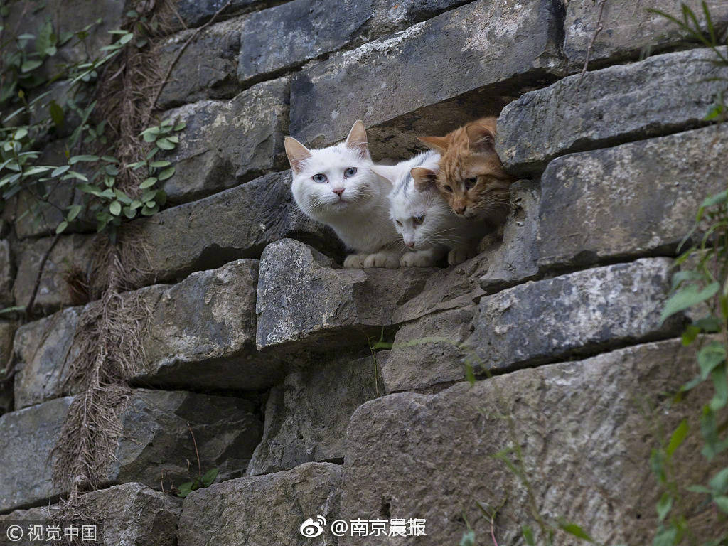 去玩!五一天气宜出游 但4日南方要下雨_CN2 bare metal