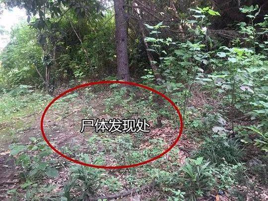 丰田全新雷凌配置曝光推四款车型