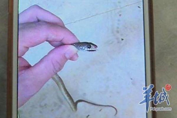 欧冠-孙兴慜2球 热刺总分4-4曼城晋级_云电脑小白