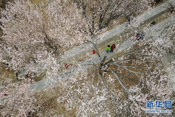 张伯伦单场100分技术统计表被拍卖21万美元