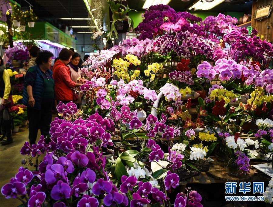 公司域名可以收邮件吗_9929免备案