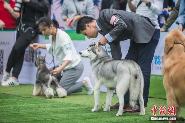 可兰门牙断裂手术30分钟拒打麻药 医生:几无人能坚持_CN2服务器哪家便宜