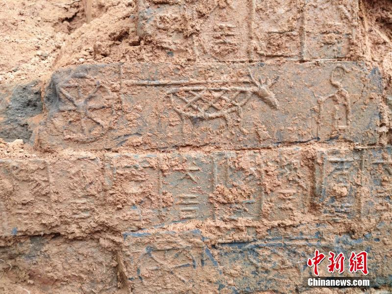 许志安,为什么背着郑秀文爱别人_9929建站
