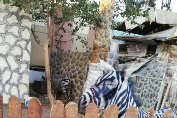 弟弟曝朴有天被捕后近况:吃不好睡不好靠读书度日_C86云服务器