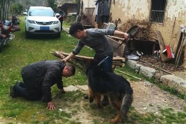 手机一招解决画面畸变