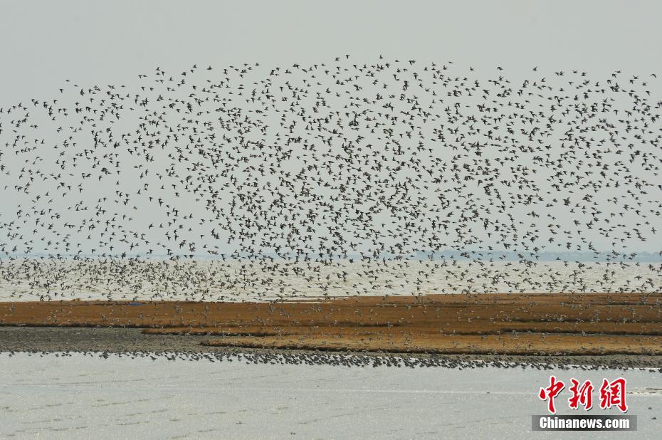 天风:从基金持仓看银行股 板块吸引力逐渐加强