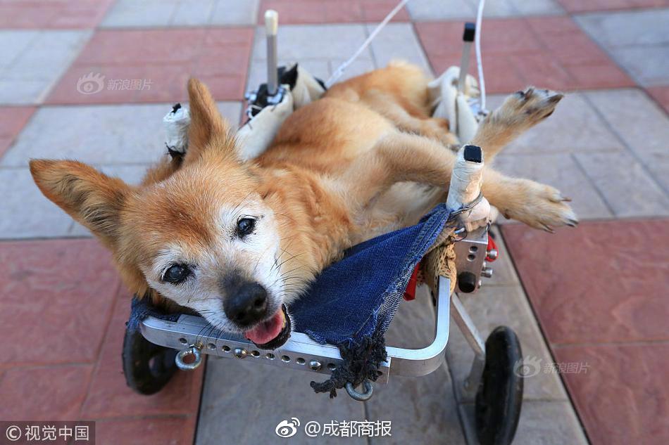 .XYZ域名多少钱一个