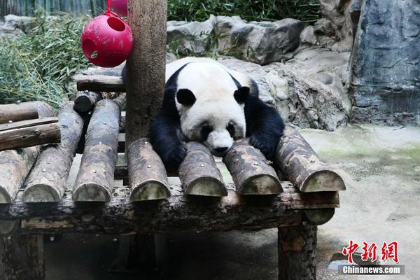 一个网站可以绑定多少个域名_挂机宝模拟器多开