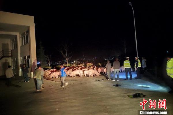 9000元宠物鸡被偷走,找到时已被拔毛准备下锅主人当场崩溃_美国CN2服务器回国优化