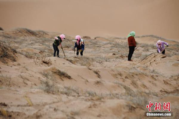 国际无巴掌日:不体罚_云挂机宝