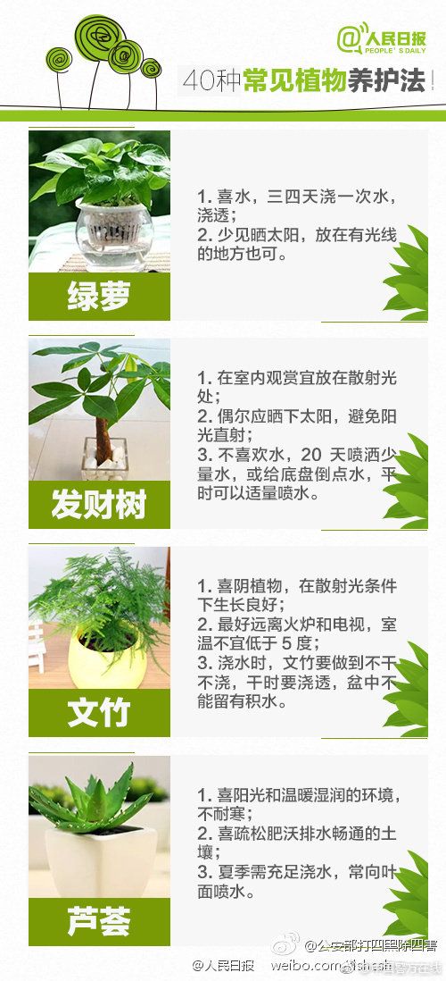 JAVA云服务器_CN2服务器独享IP