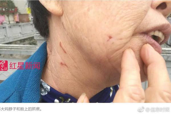 域名过期后,若被他人利用传播违法内容,应该如何处理?_挂机宝移动