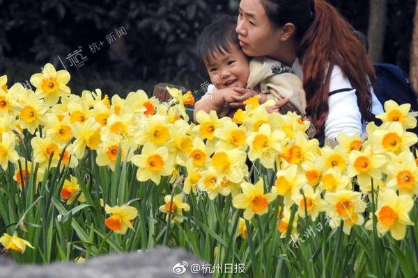 打击春节档电影盗版:251人已被控制