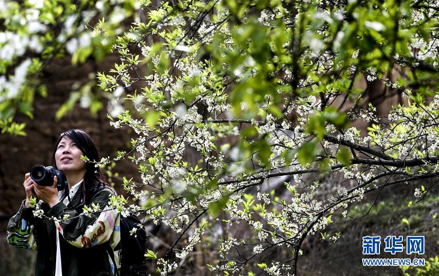 云服务器购买后能否更换香港线路_云服务公司