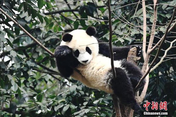 云服务器哪家好还便宜