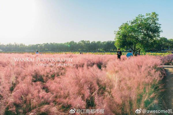 贾琏借吃槟榔,传递心事,尤二姐神配合,佳偶天成
