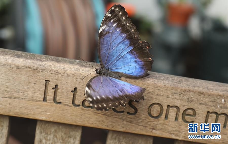 被“忽视”的中国游戏品牌_突发性能实例