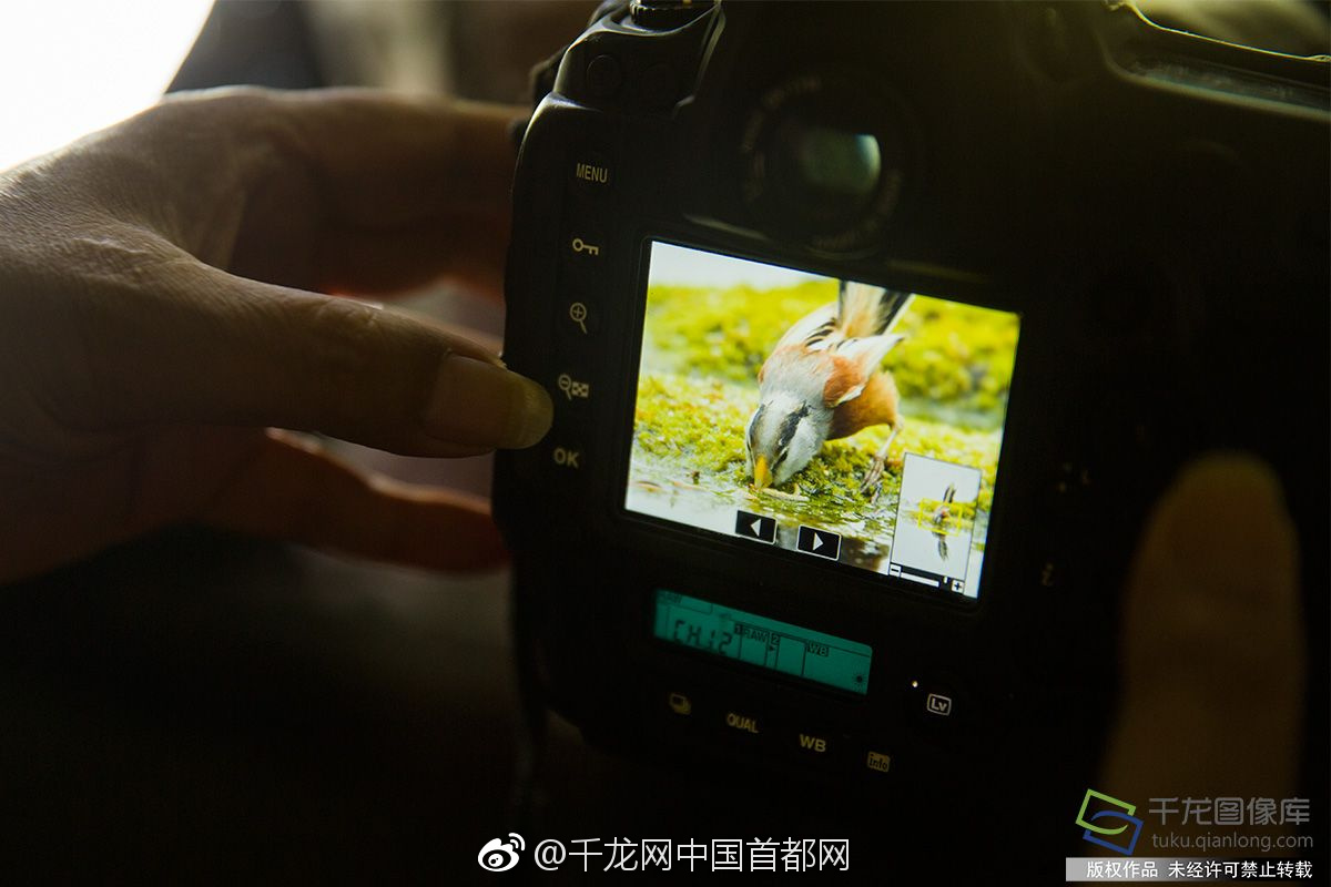 域名店铺推荐_云工作站