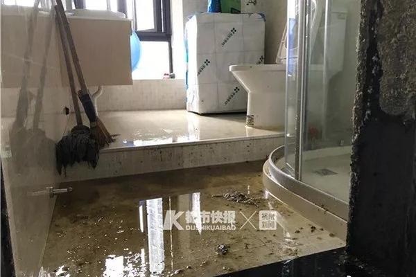 HK域名_国内云服务器提供商