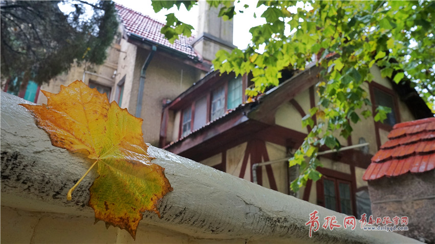 恭喜！孙杨一小时双冠