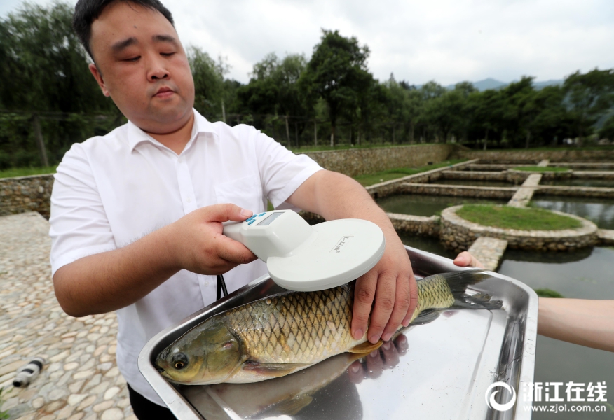 纸上谈兵|不止争议哨!火箭跟勇士都在拆解对手