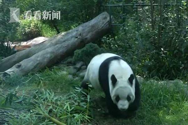 林允李宇春五一冲锋衣