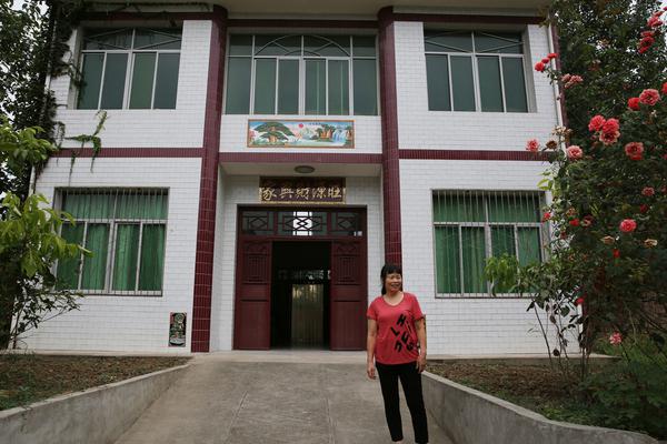 300G防御能抗DDoS无视CC吗_10元挂机宝