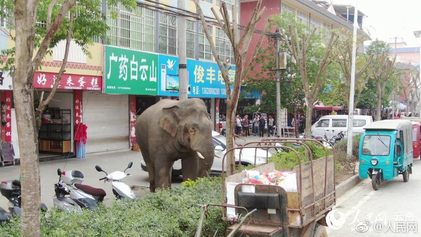 BGP云服务器_云主机