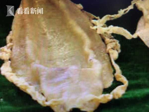 为什么俞飞鸿的女神人设从来没崩过?_9929延迟