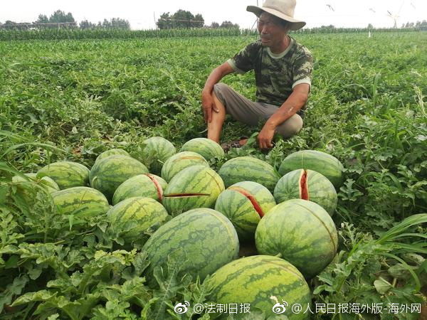 古代官员殉职为何要逼妻妾先上吊