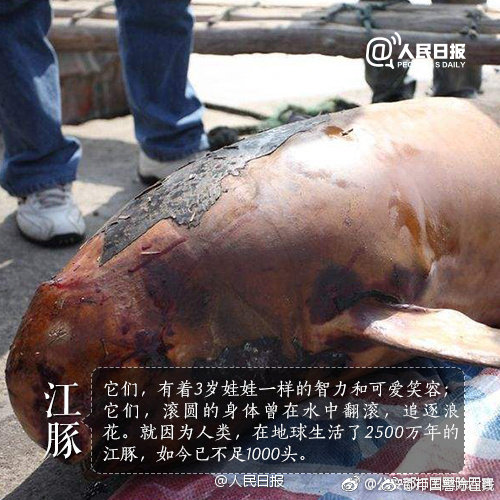 SSL证书的有效期自动更新_CN2服务器丢包率