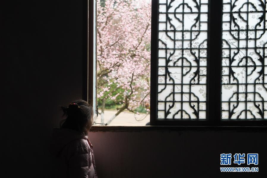 《流浪地球》发公告维权