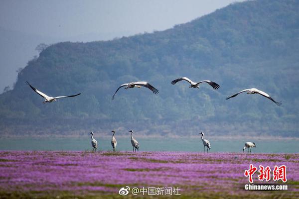 你好世界:寻找心中的风景