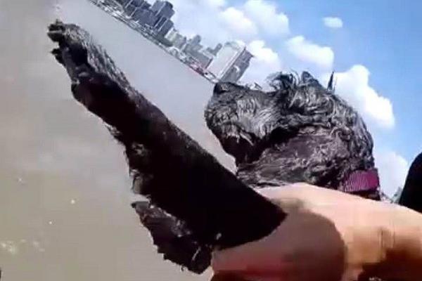 圣保罗时装周男模摔倒当场猝死_云服务器提供商