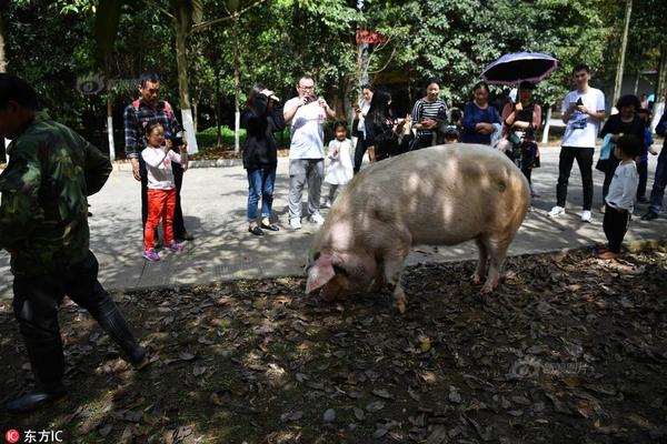 广发宏观:为什么不同行业对景气度感受不同?