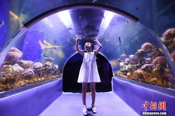 7.0妈妈咪鸭小萌鸭乌龙认
