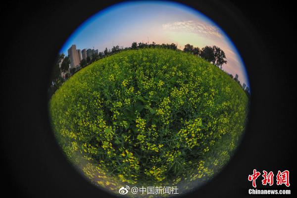 网页域名申请