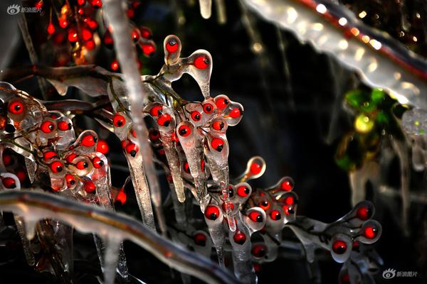韩国瑜四点声明首提"被动参选"