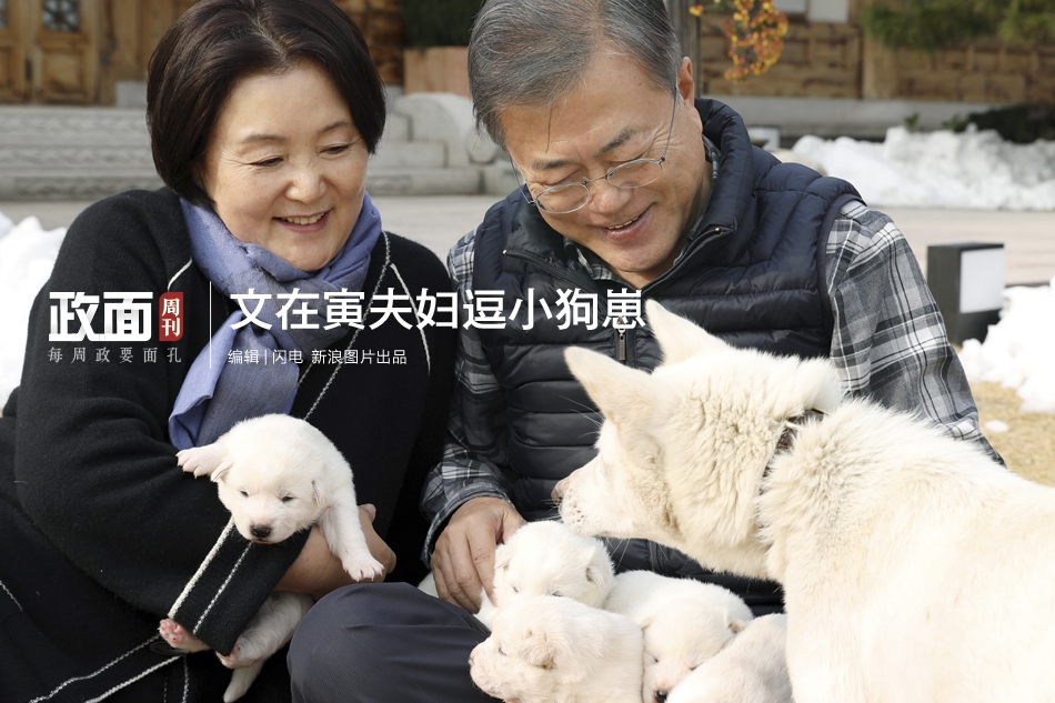 兔宝宝的2018年:试探并购”