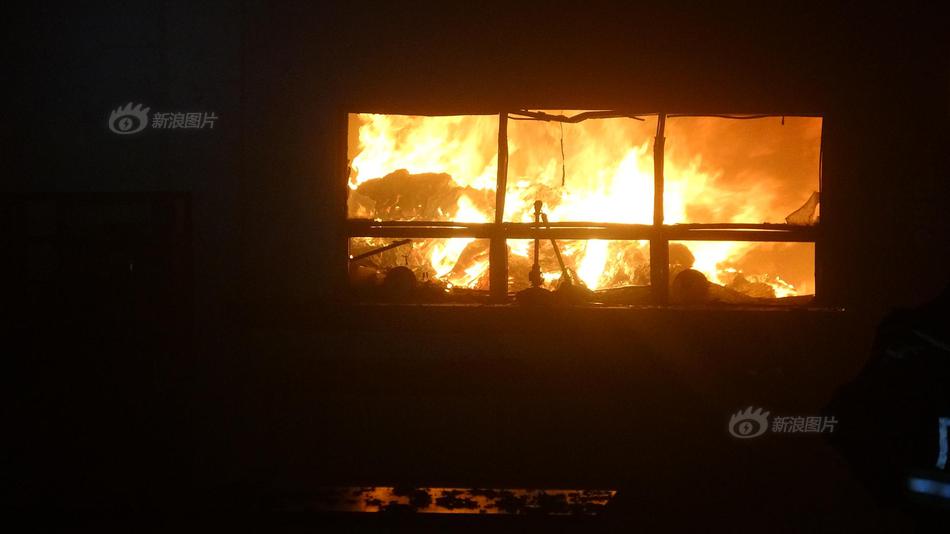 德国想要废除家庭作业_市场咨询