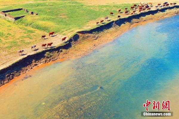 .SITE域名_CN2服务器E5处理器